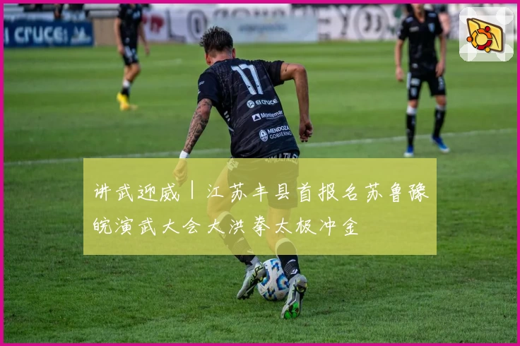 讲武迎威｜江苏丰县首报名苏鲁豫皖演武大会大洪拳太极冲金