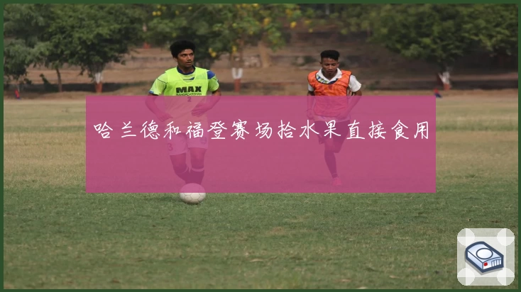 哈兰德和福登赛场拾水果直接食用