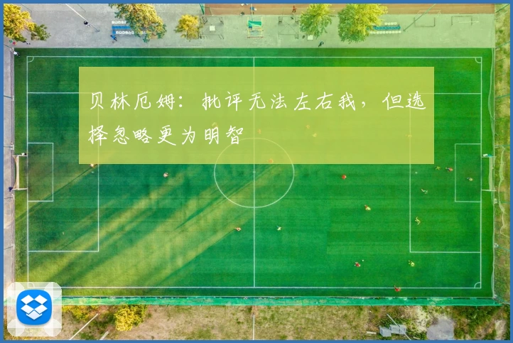 贝林厄姆：批评无法左右我，但选择忽略更为明智