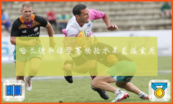 哈兰德和福登赛场拾水果直接食用